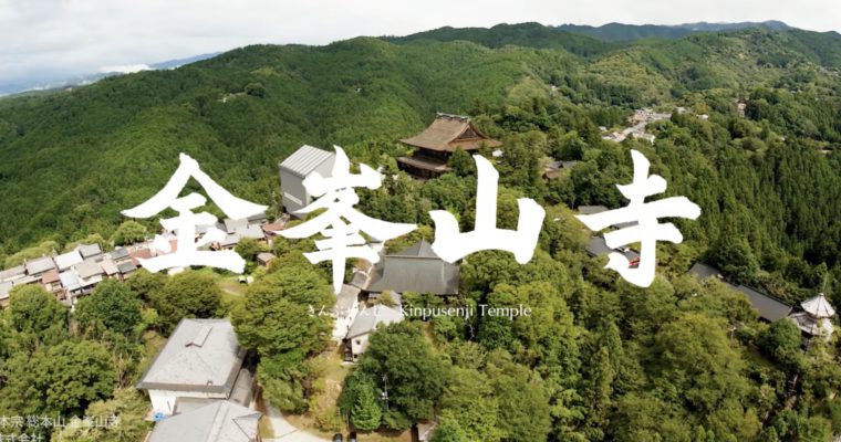 TOPPAN「VR 金峯山寺」